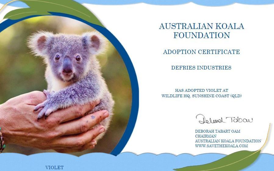 Adopt a Koala